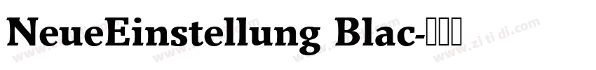 NeueEinstellung Blac字体转换